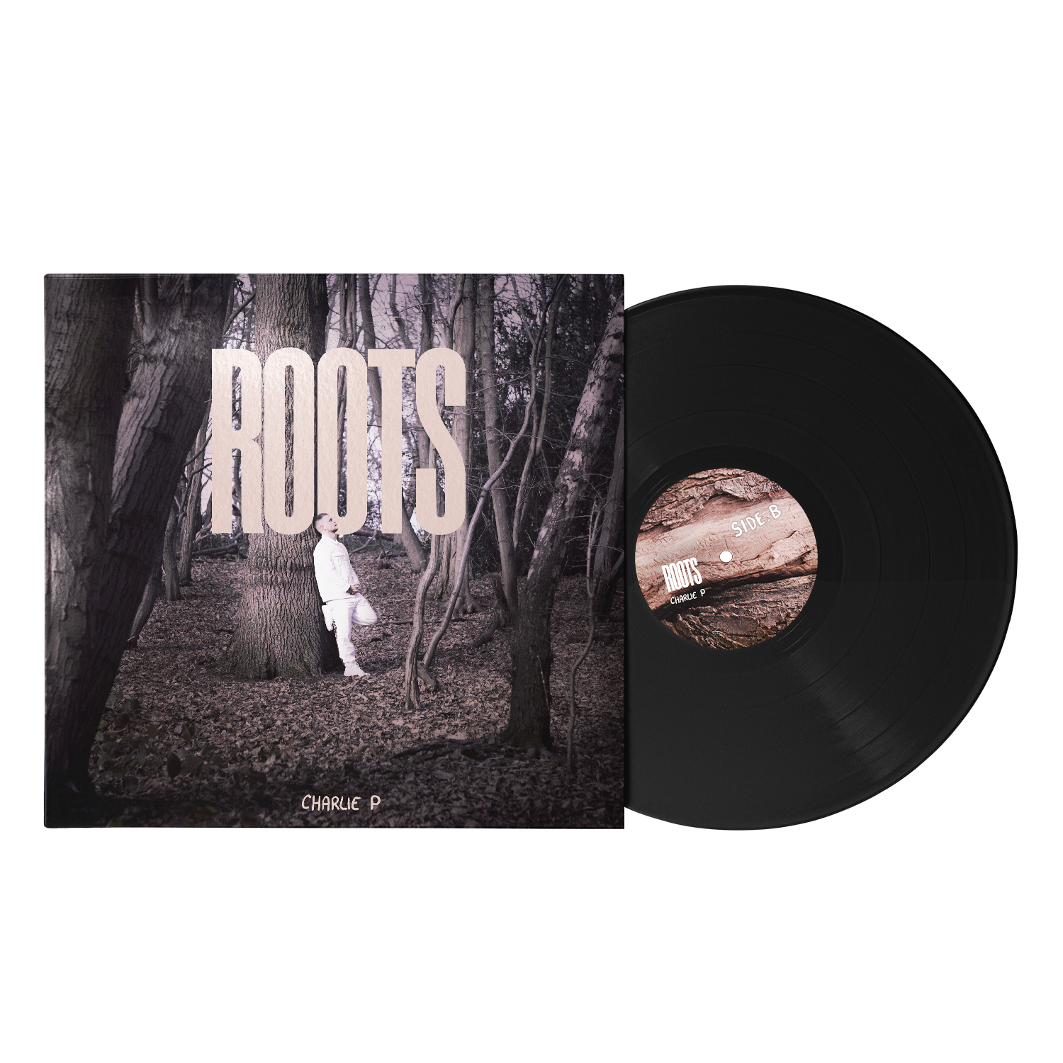 Roots, Vinyl LP – Dubquake Records